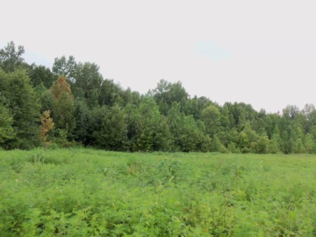 0 Baxter Road Baxter, TN 38544 - Photo 9 of 13