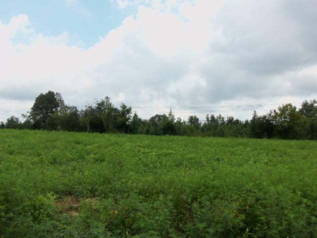 0 Baxter Road Baxter, TN 38544 - Photo 10 of 13