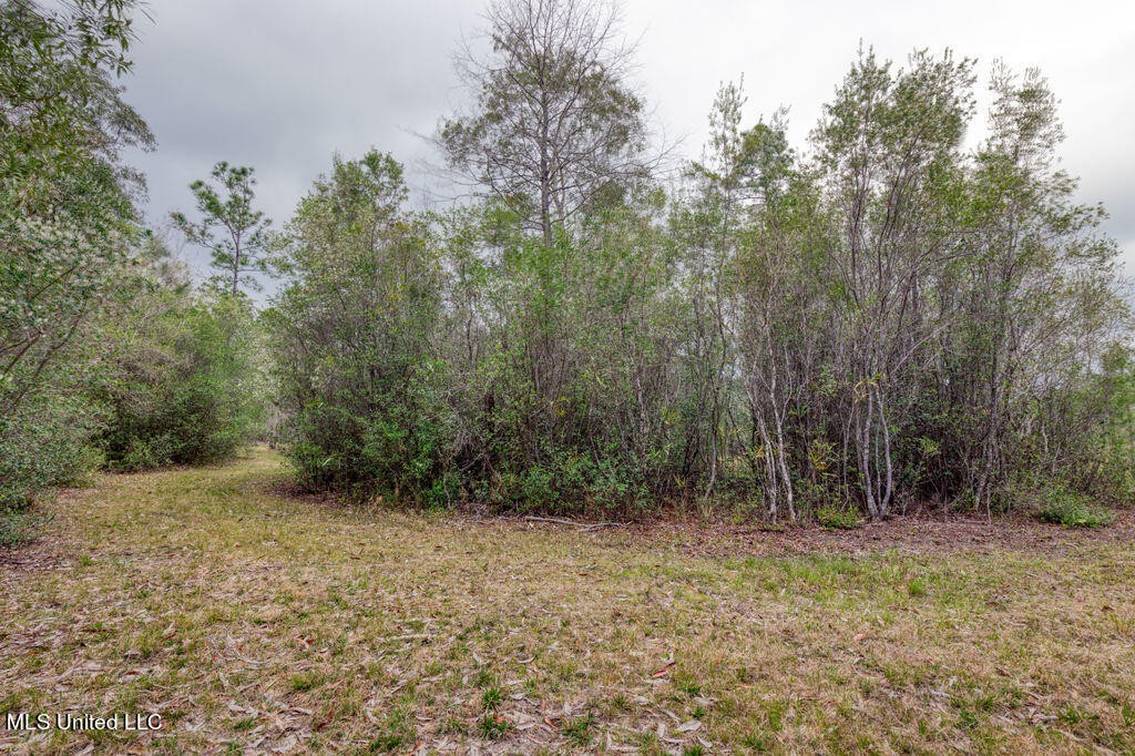 15429 Indian Fork Road Vancleave, MS 39565 - Photo 45 of 63 Land and Trails