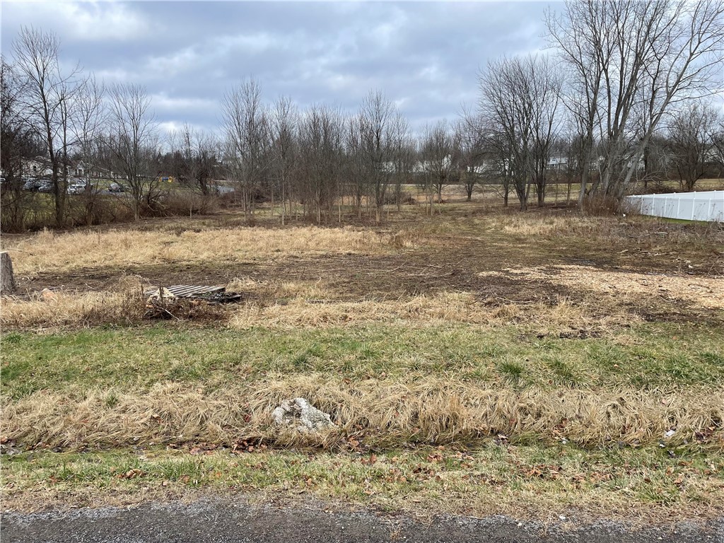 392 Mildahn Road Walworth, NY 14502 - Photo 6 of 12