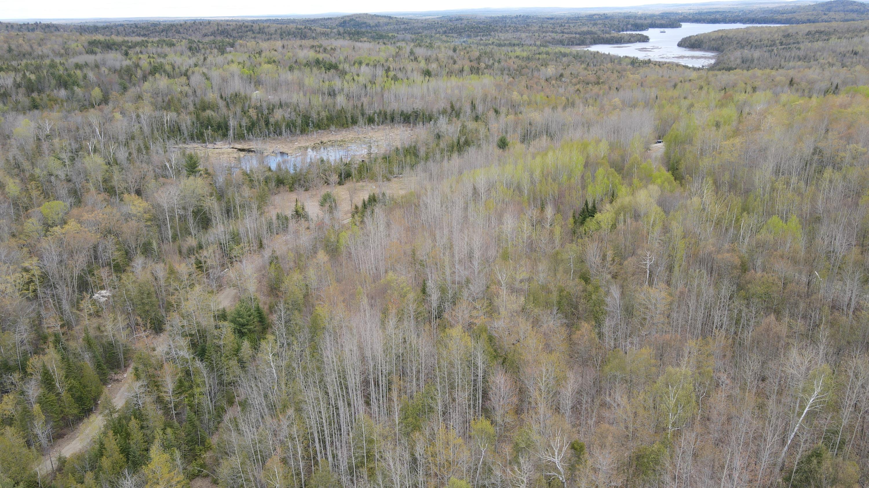 0 South Road Lincoln, ME 04457 - Photo 58 of 75 DJI_0135