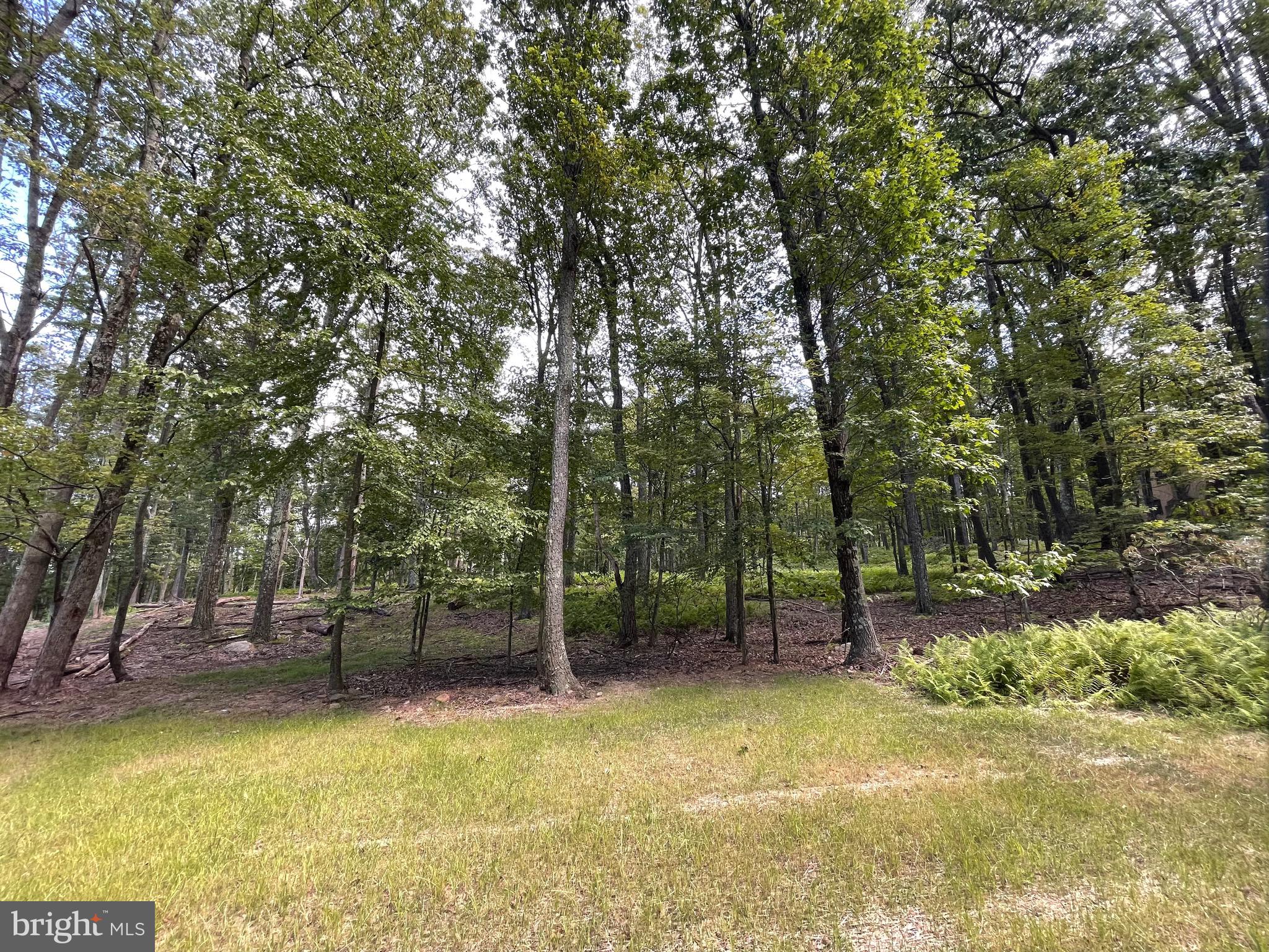 a view of a yard with swimming pool