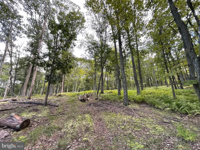 a view of outdoor space with green space