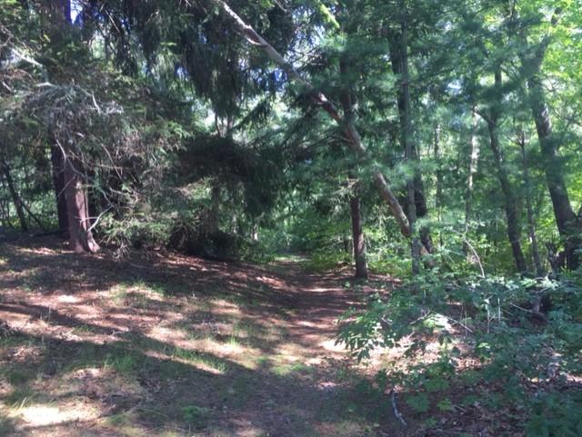 779 Bumps River Road Centerville, MA 02632 - Photo 9 of 11 bumps4