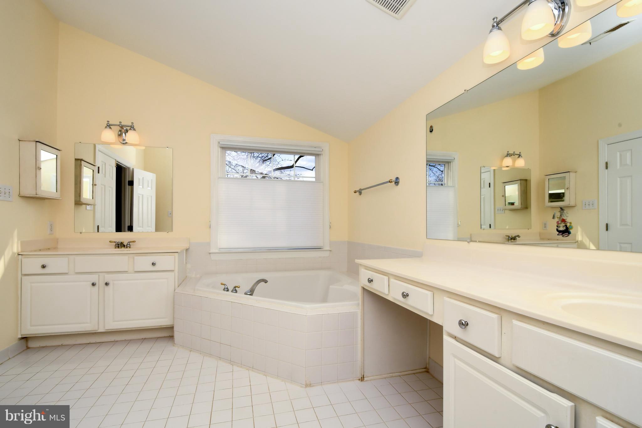 11106 Tommye Lane Reston, VA 20194 - Photo 21 of 29 Bath (Master)