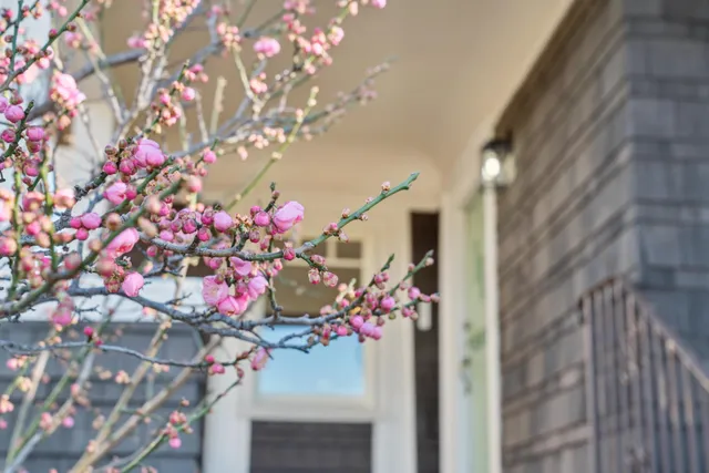 $899,000 | 3846 Beaumont Avenue, Oakland, CA 94602