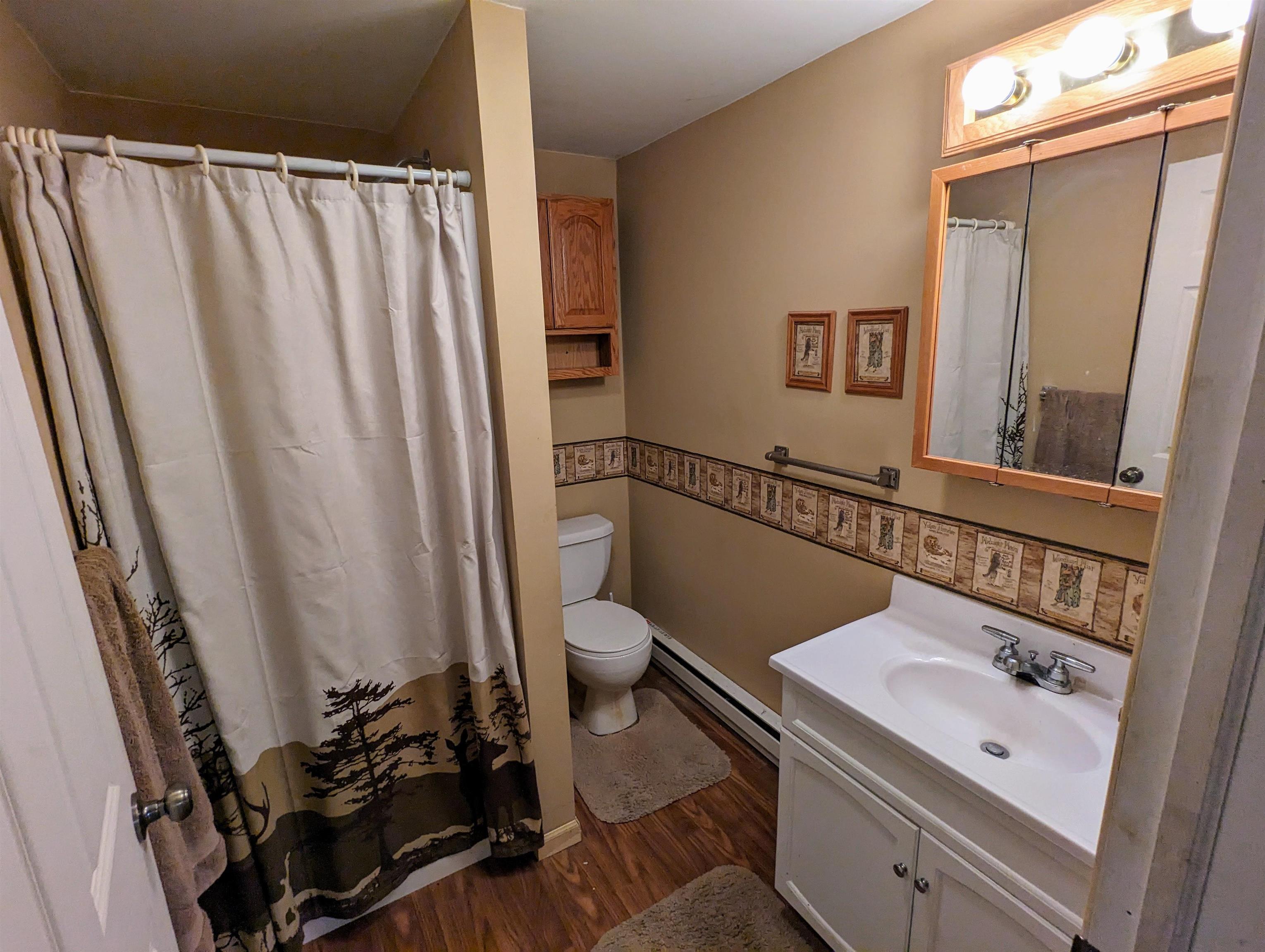 1681 Deer Brook Road Alger, MI 48610 - Photo 13 of 26 Gallery Image 13