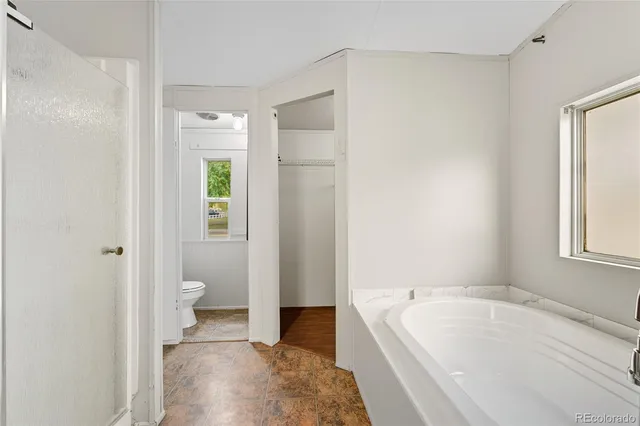 a bathroom with a bathtub and a toilet