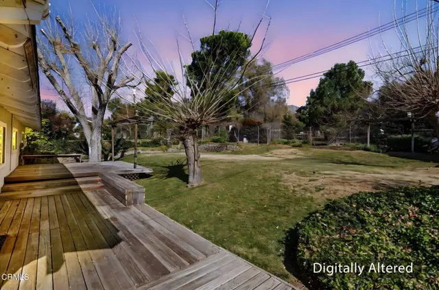 a view of yard with tree s