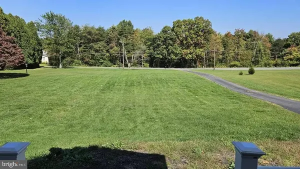 a view of a green field with trees
