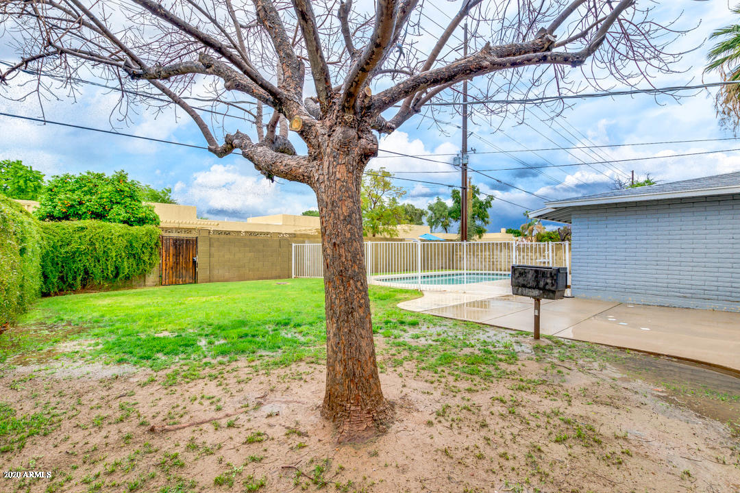 2128 West Keim Drive Phoenix, AZ 85015 - Photo 45 of 70 Mature shade tree