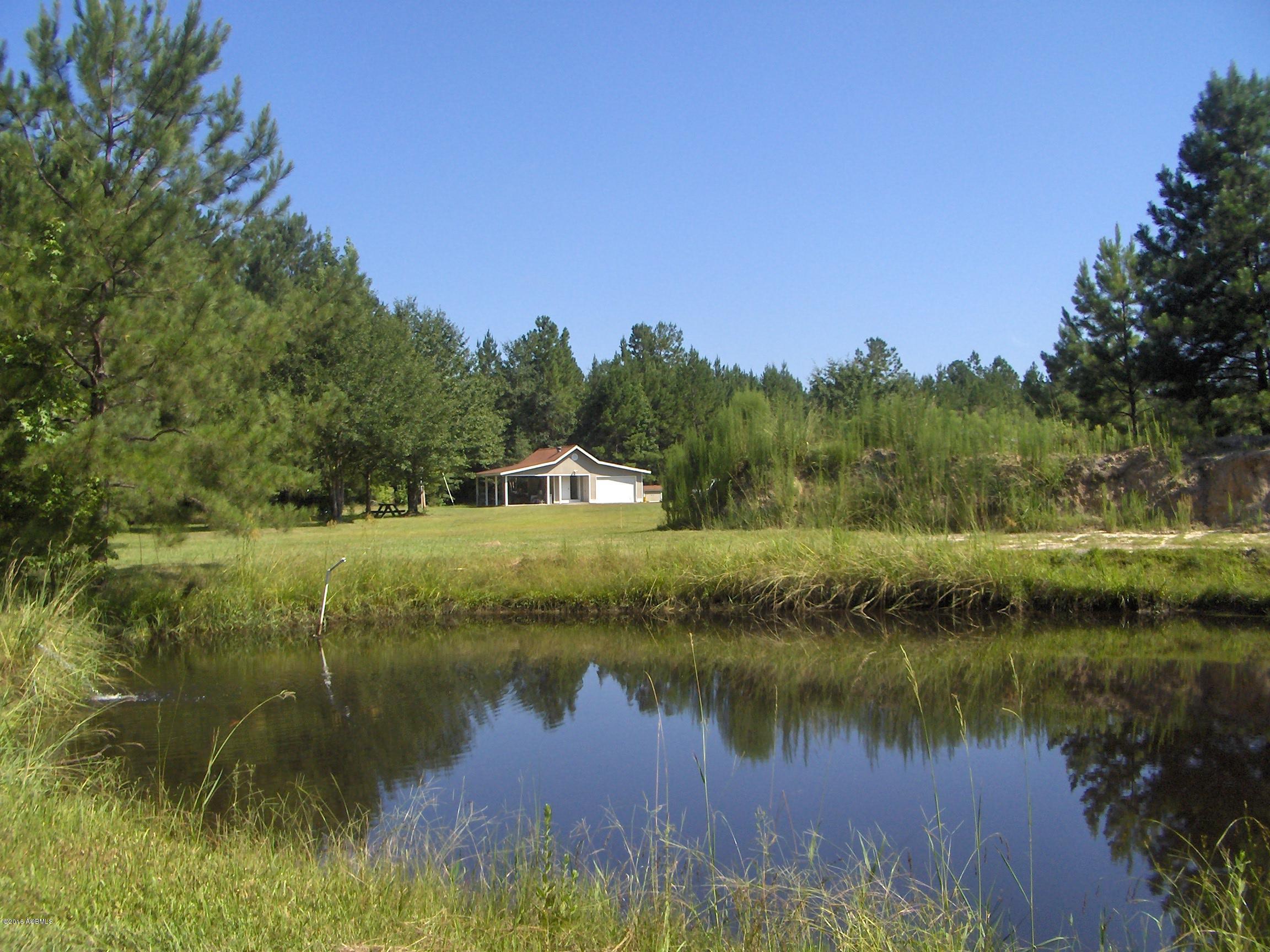 2170 Pinelevel Church Road Early Branch, SC 29916 - Photo 1 of 16 HPIM6354
