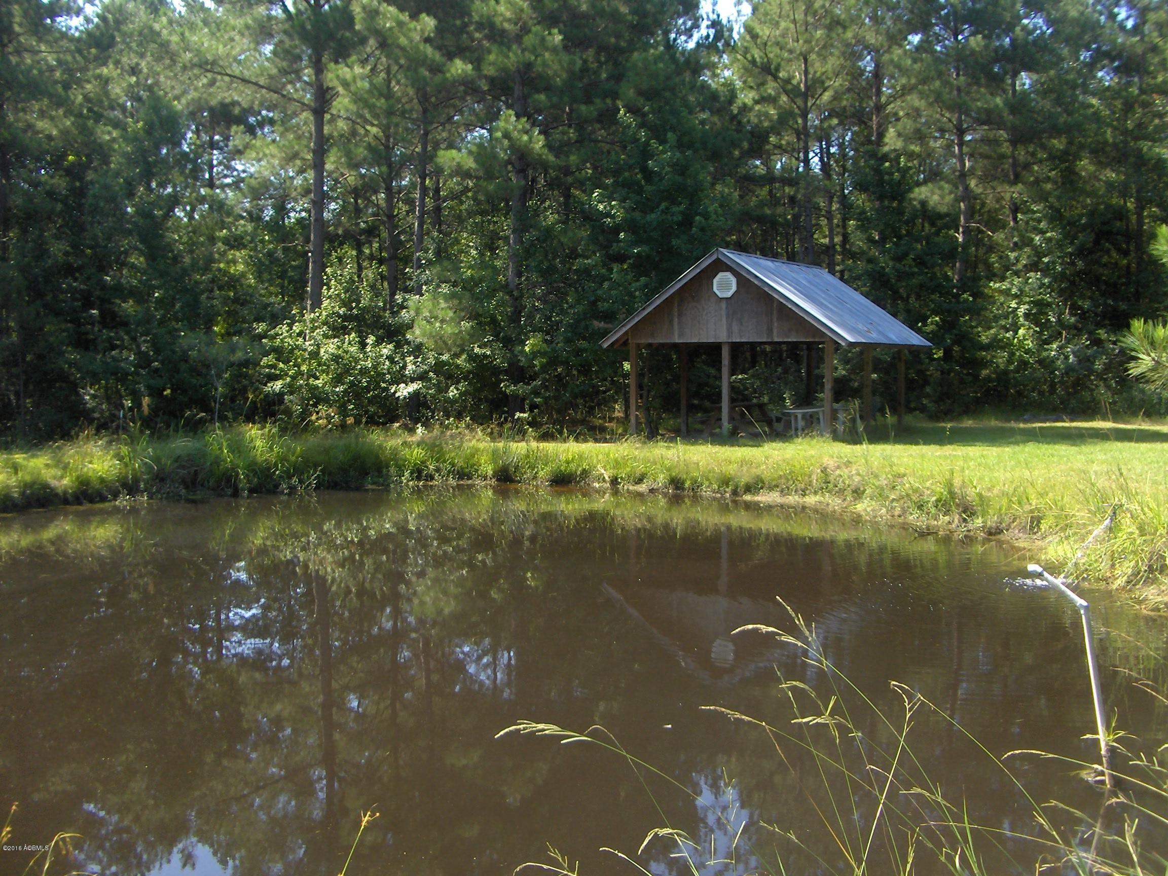 2170 Pinelevel Church Road Early Branch, SC 29916 - Photo 5 of 16 HPIM6352