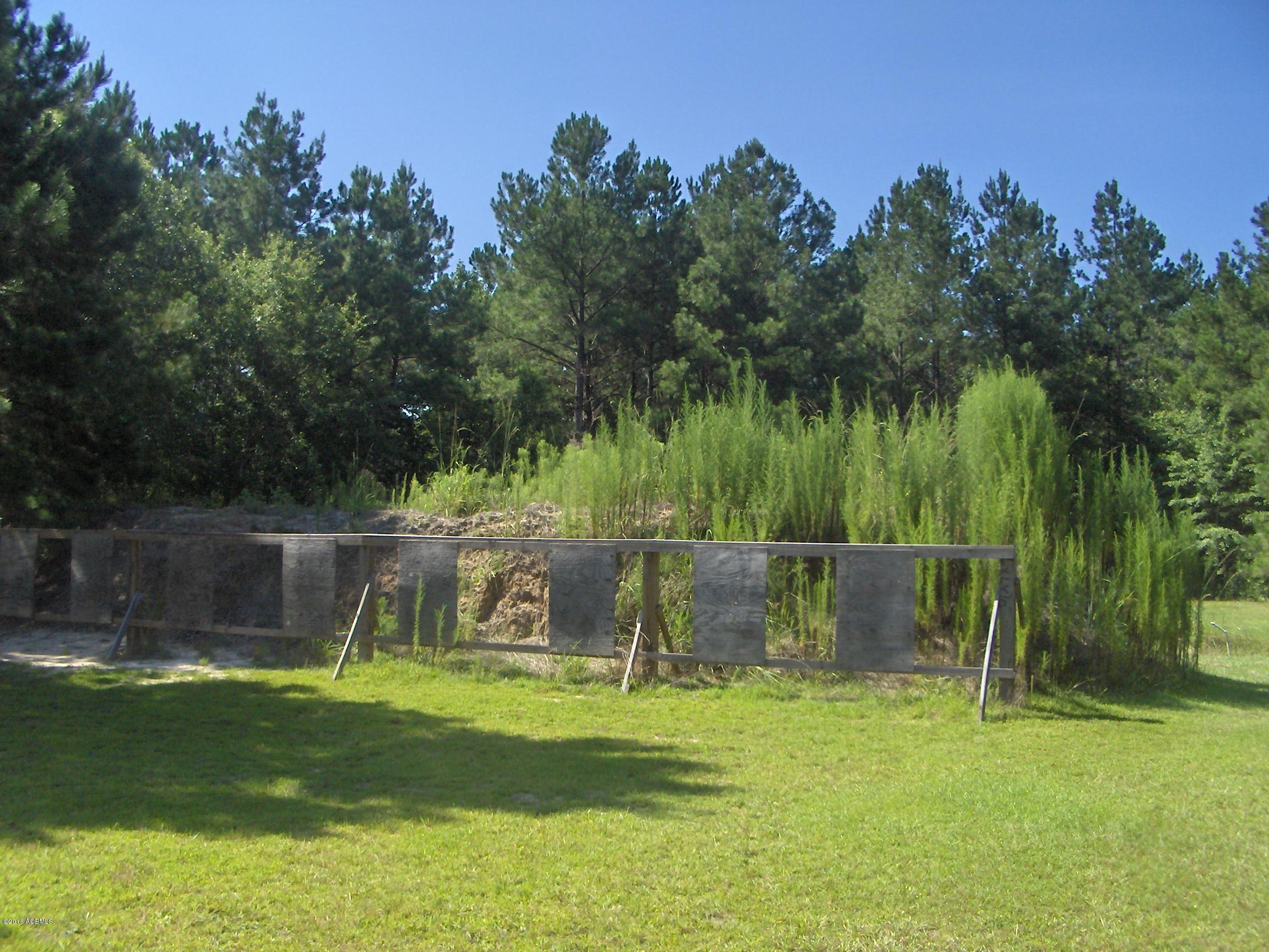 2170 Pinelevel Church Road Early Branch, SC 29916 - Photo 8 of 16 HPIM6356