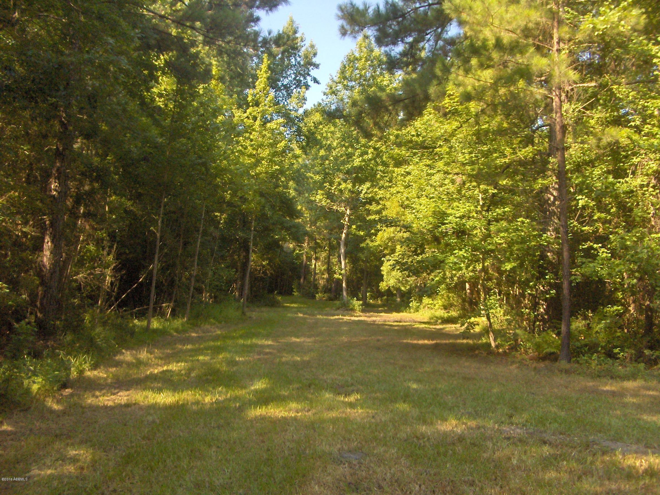 2170 Pinelevel Church Road Early Branch, SC 29916 - Photo 10 of 16 HPIM6344