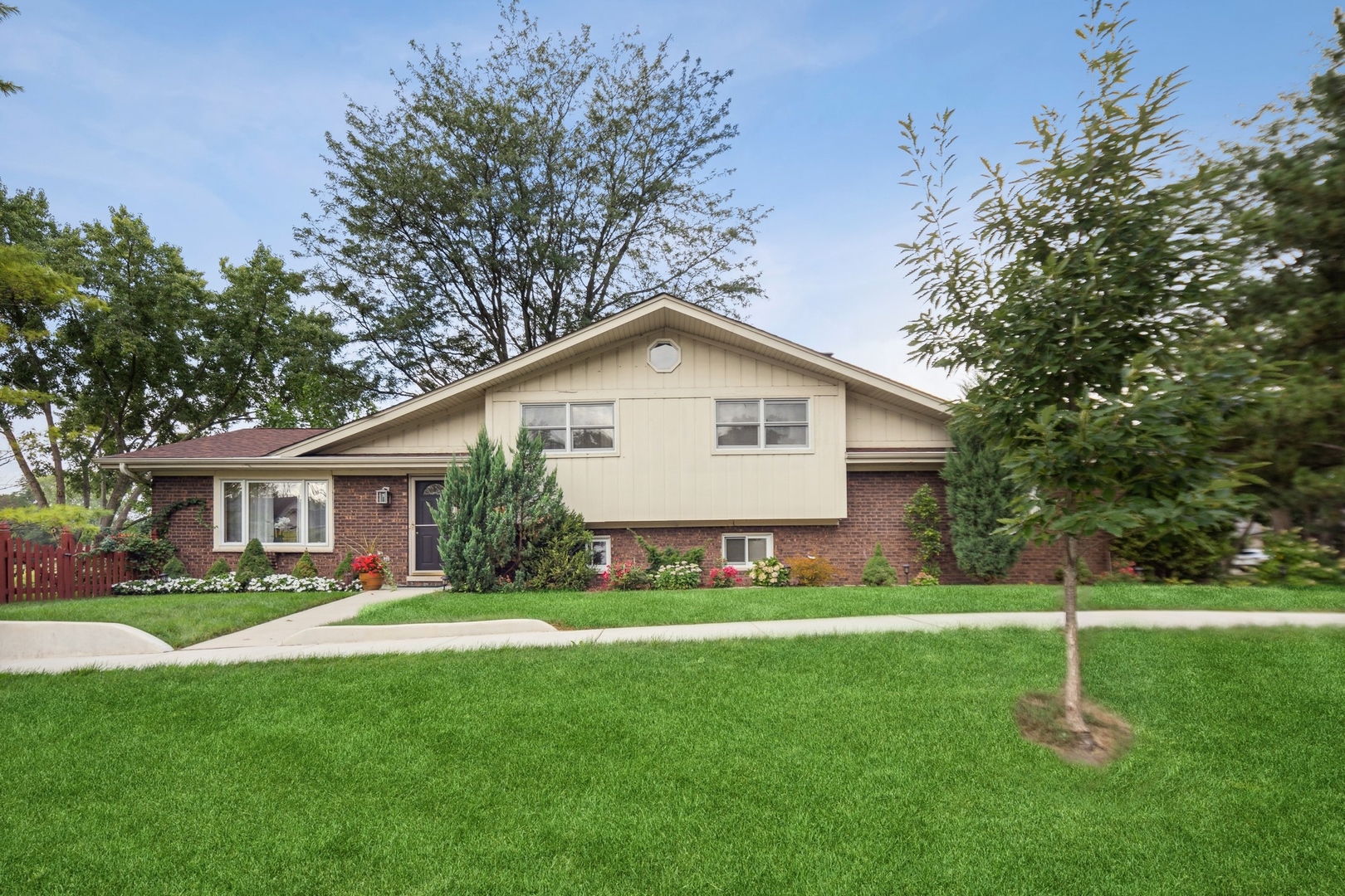 a view of outdoor space yard and yard