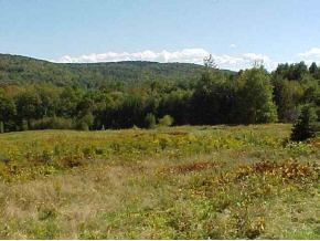0 Off Farrar Road Chester, VT 05143 - Photo 1 of 1