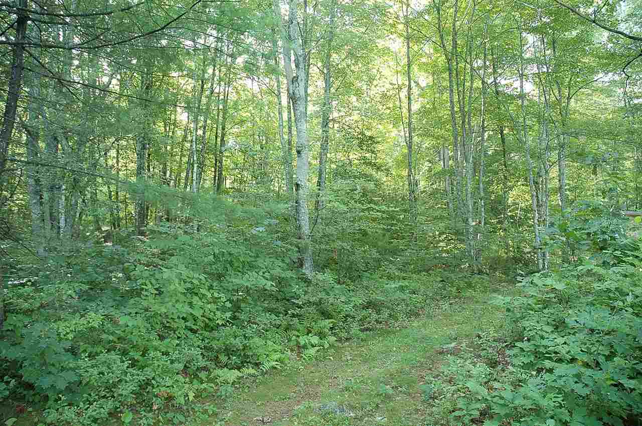 528 Berry River Road Barrington, NH 03825 - Photo 11 of 23
