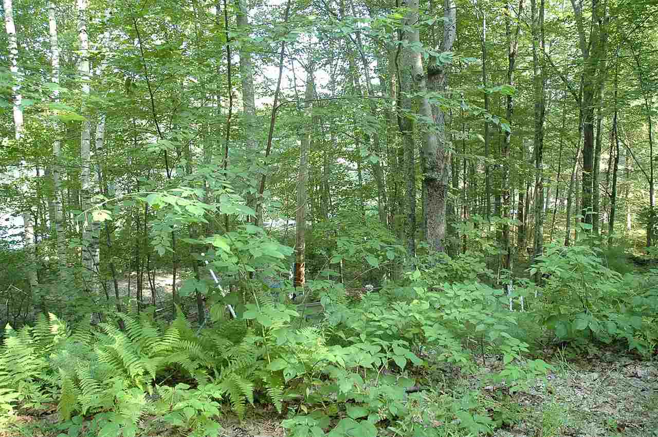 528 Berry River Road Barrington, NH 03825 - Photo 7 of 23