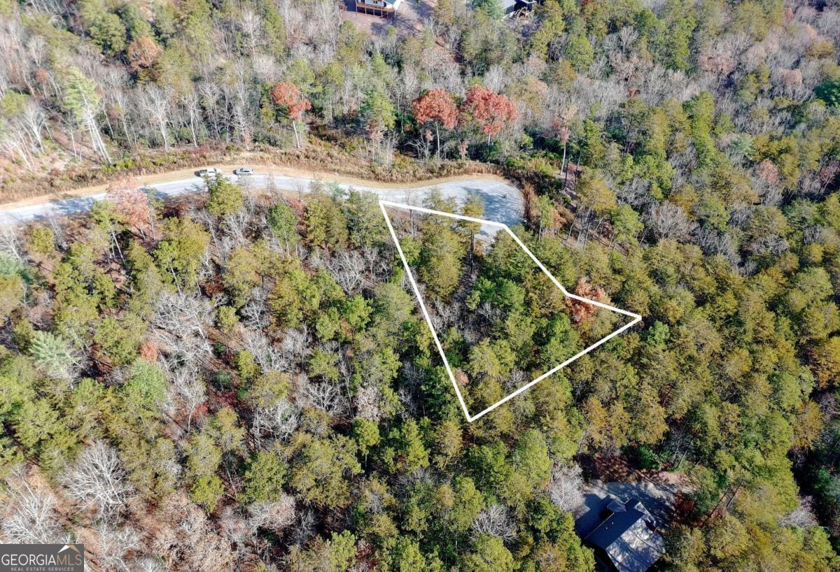 Lot 37 Ridgeline Lane Mineral Bluff, GA 30559 - Photo 1 of 5 a view of a yard with plants and large trees