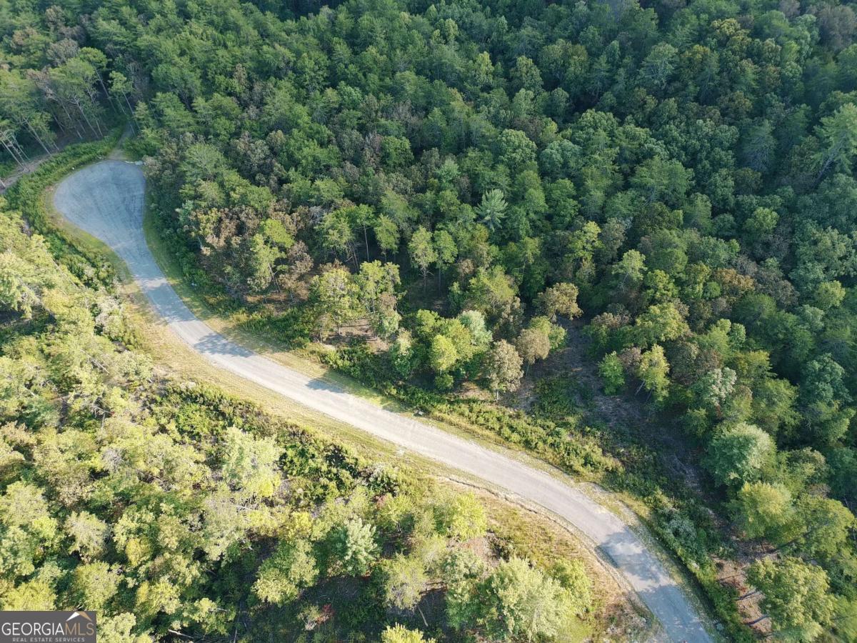 Lot 37 Ridgeline Lane Mineral Bluff, GA 30559 - Photo 2 of 5 a view of a yard with a tree