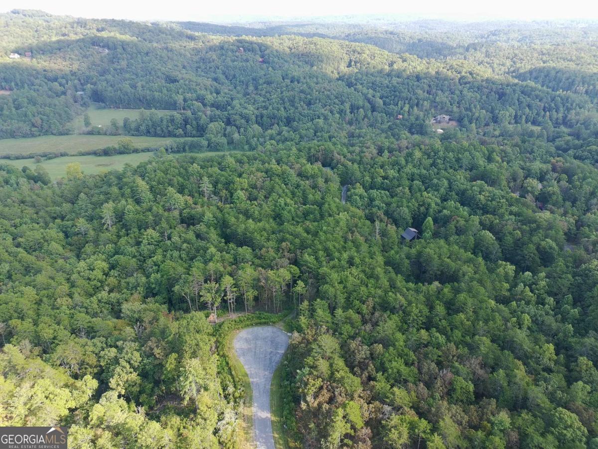 Lot 37 Ridgeline Lane Mineral Bluff, GA 30559 - Photo 3 of 5 a view of a lush green forest with trees and some houses