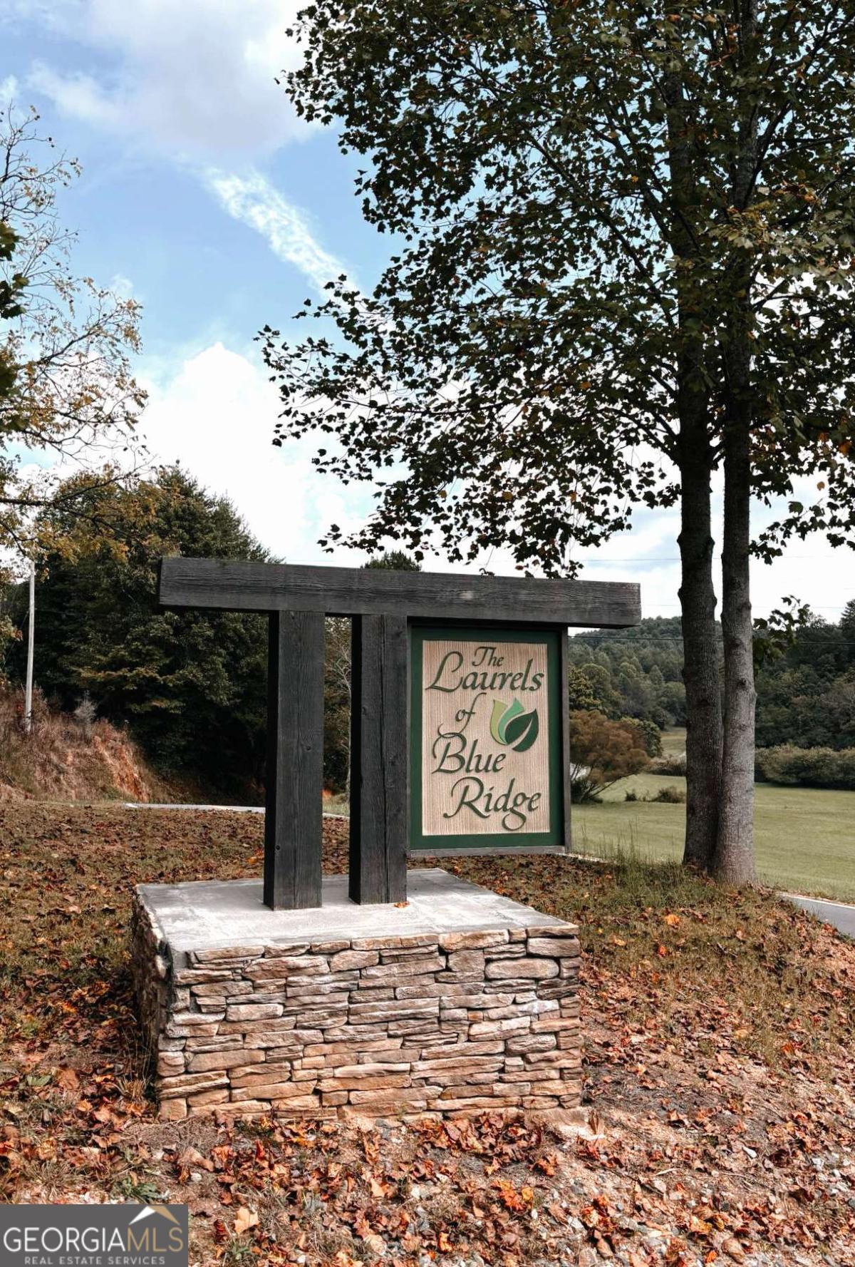 Lot 37 Ridgeline Lane Mineral Bluff, GA 30559 - Photo 4 of 5 a front view of a house with garden