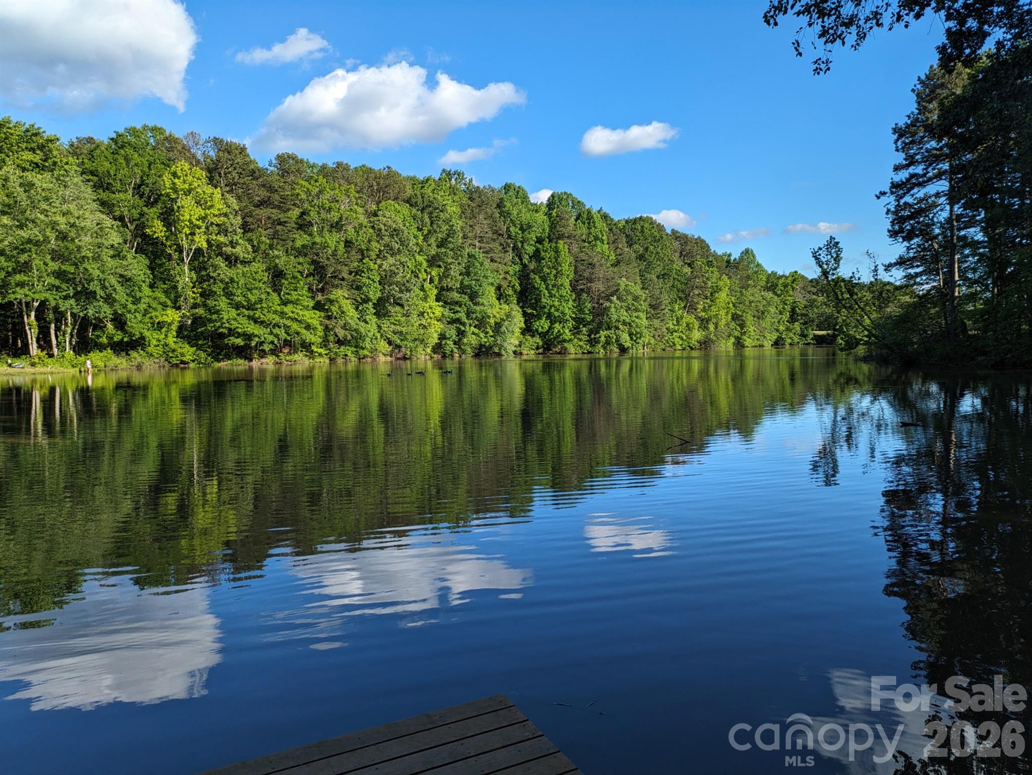 228 Creek View Road Mooresville, NC 28117 - Photo 2 of 40 a view of lake