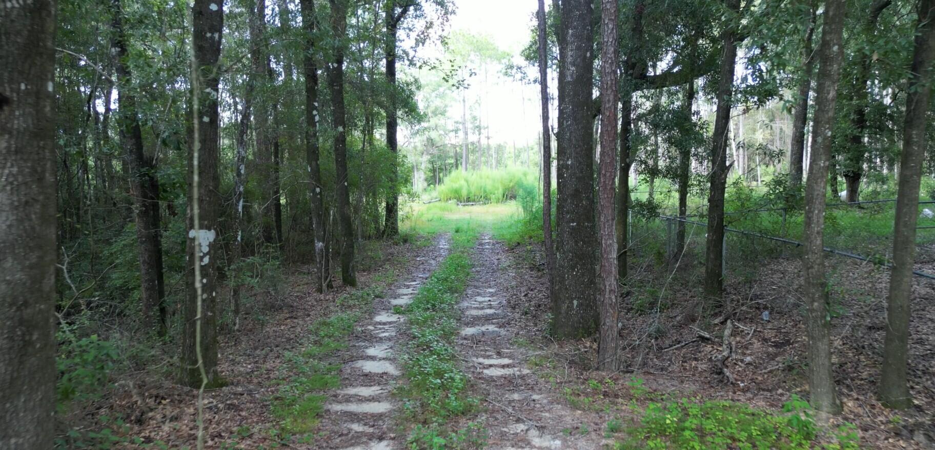 Parcel A Antioch Road Crestview, FL 32536 - Photo 3 of 6 Property Entrance