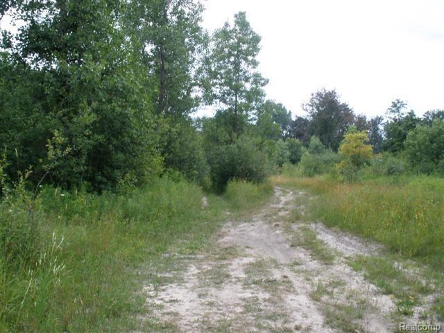 V/l Golf Club Road Howell, MI 48843 - Photo 5 of 8 Many trails on the property