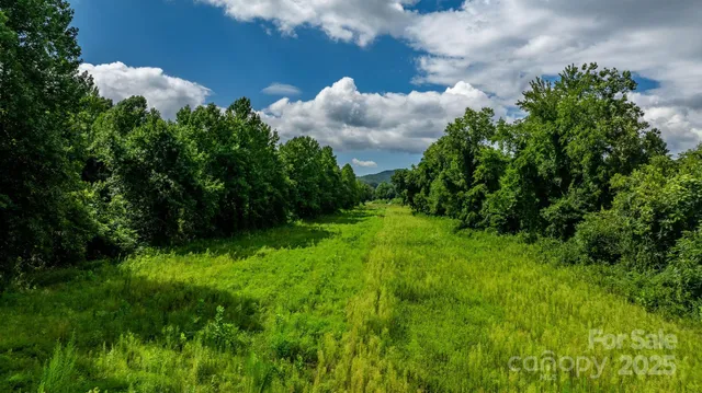 a view of a garden with a flower in a garden