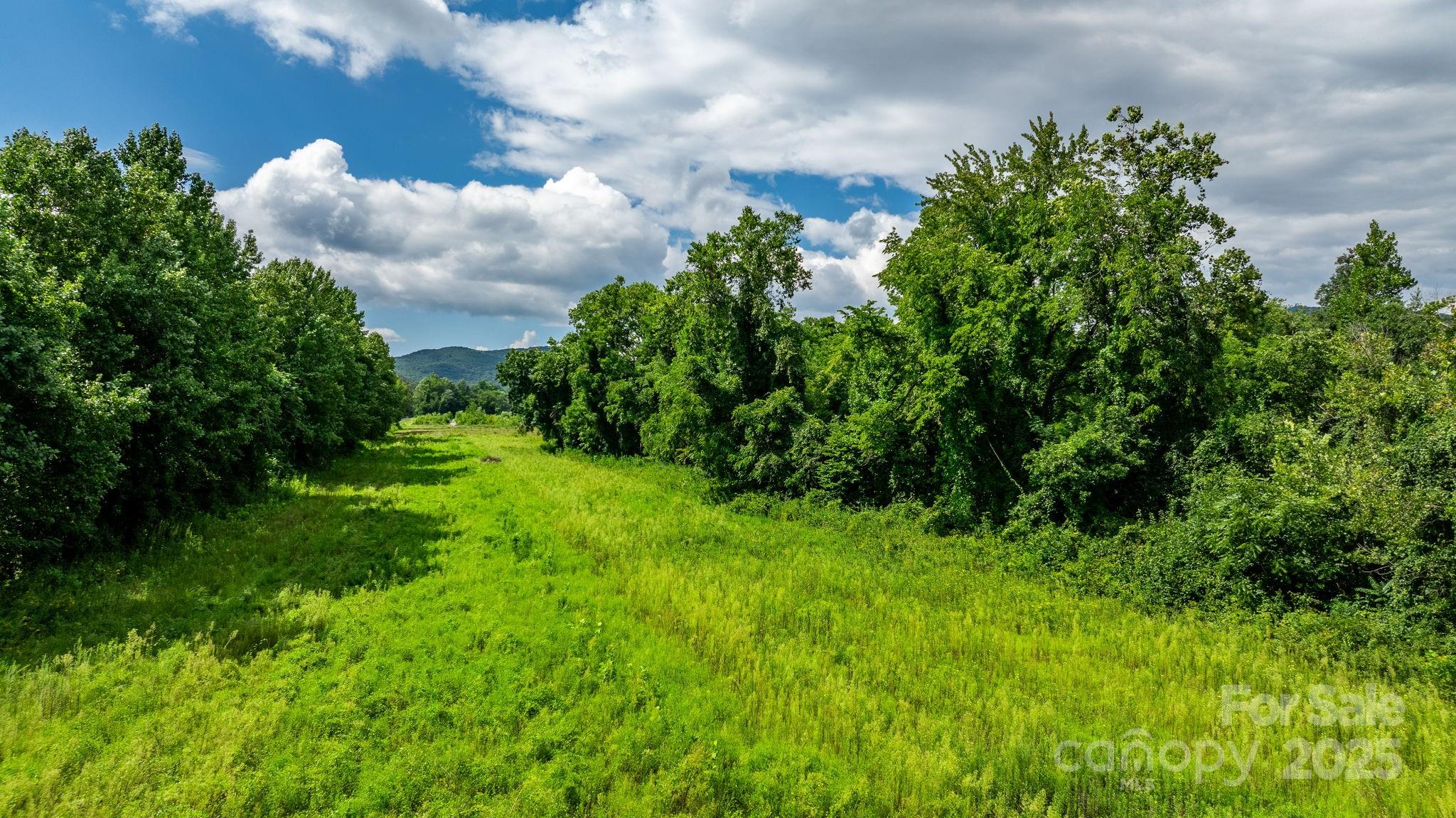 0 Old Linville Road Marion, NC 28752 - Photo 12 of 32 a view of a bunch of trees and bushes