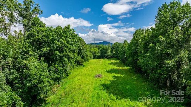 a view of a flower in a garden