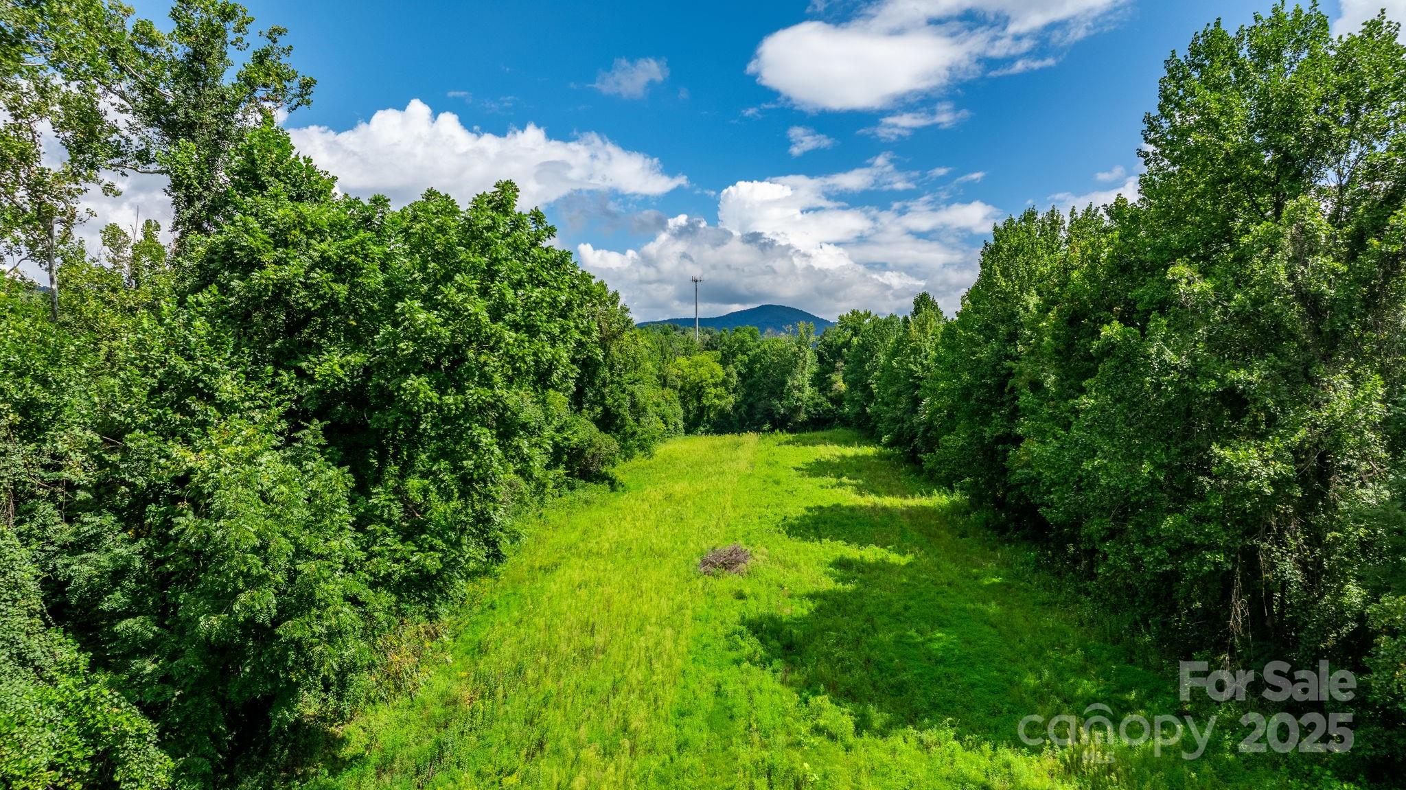 0 Old Linville Road Marion, NC 28752 - Photo 13 of 32 a view of a flower in a garden