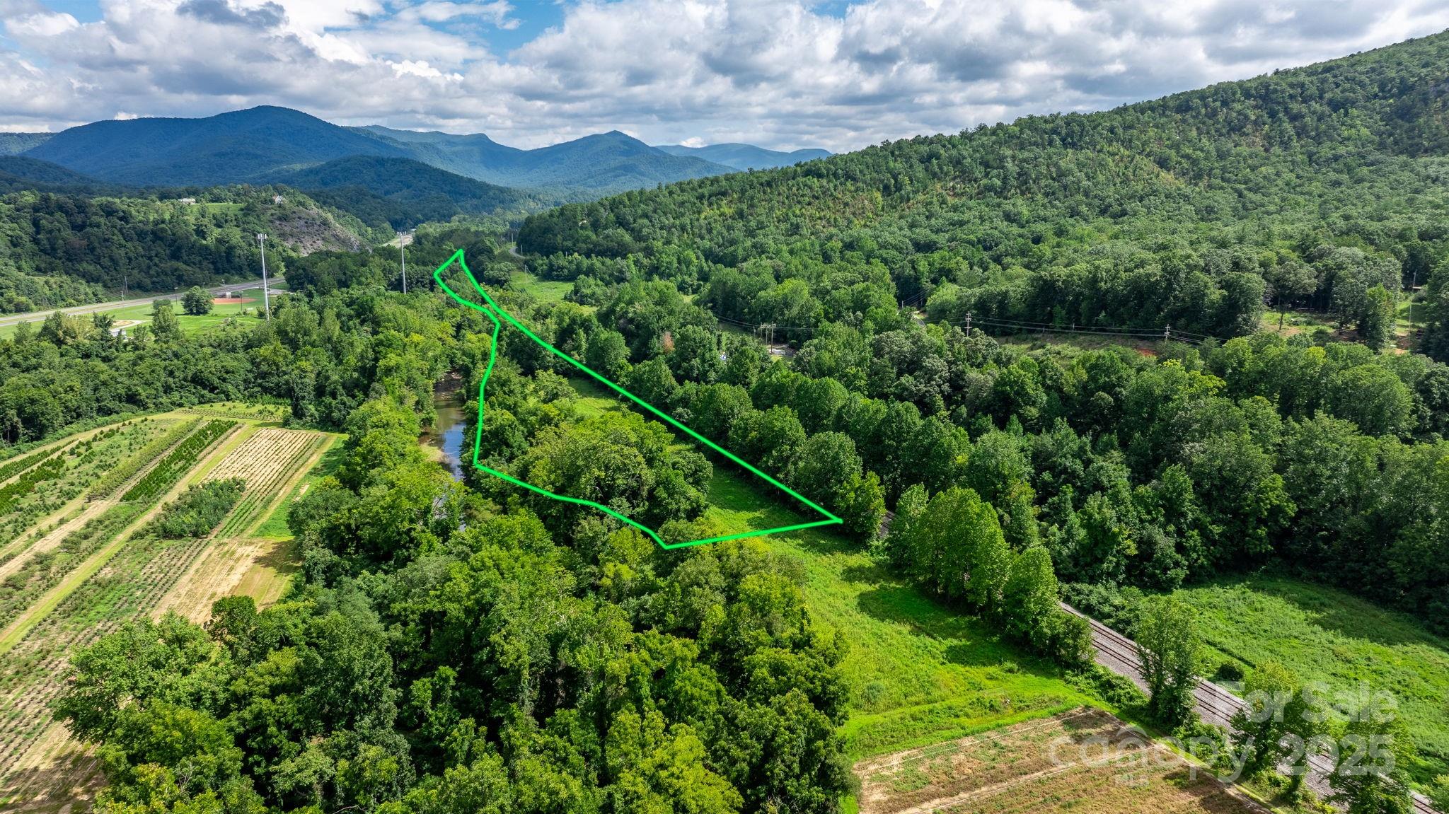 0 Old Linville Road Marion, NC 28752 - Photo 16 of 32 a view of a lush green forest with lots of trees