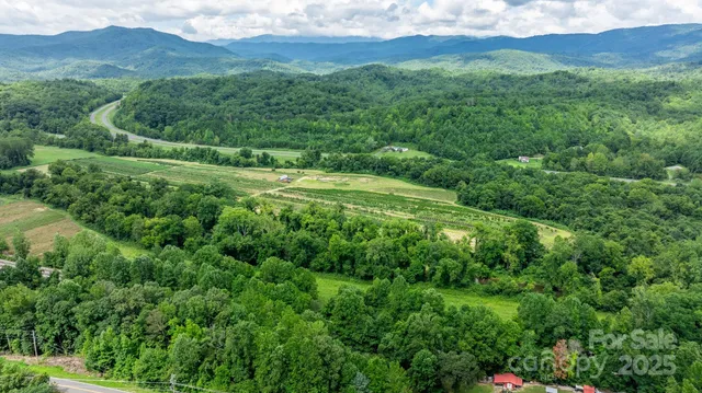 a view of a lush green hillside and a houses