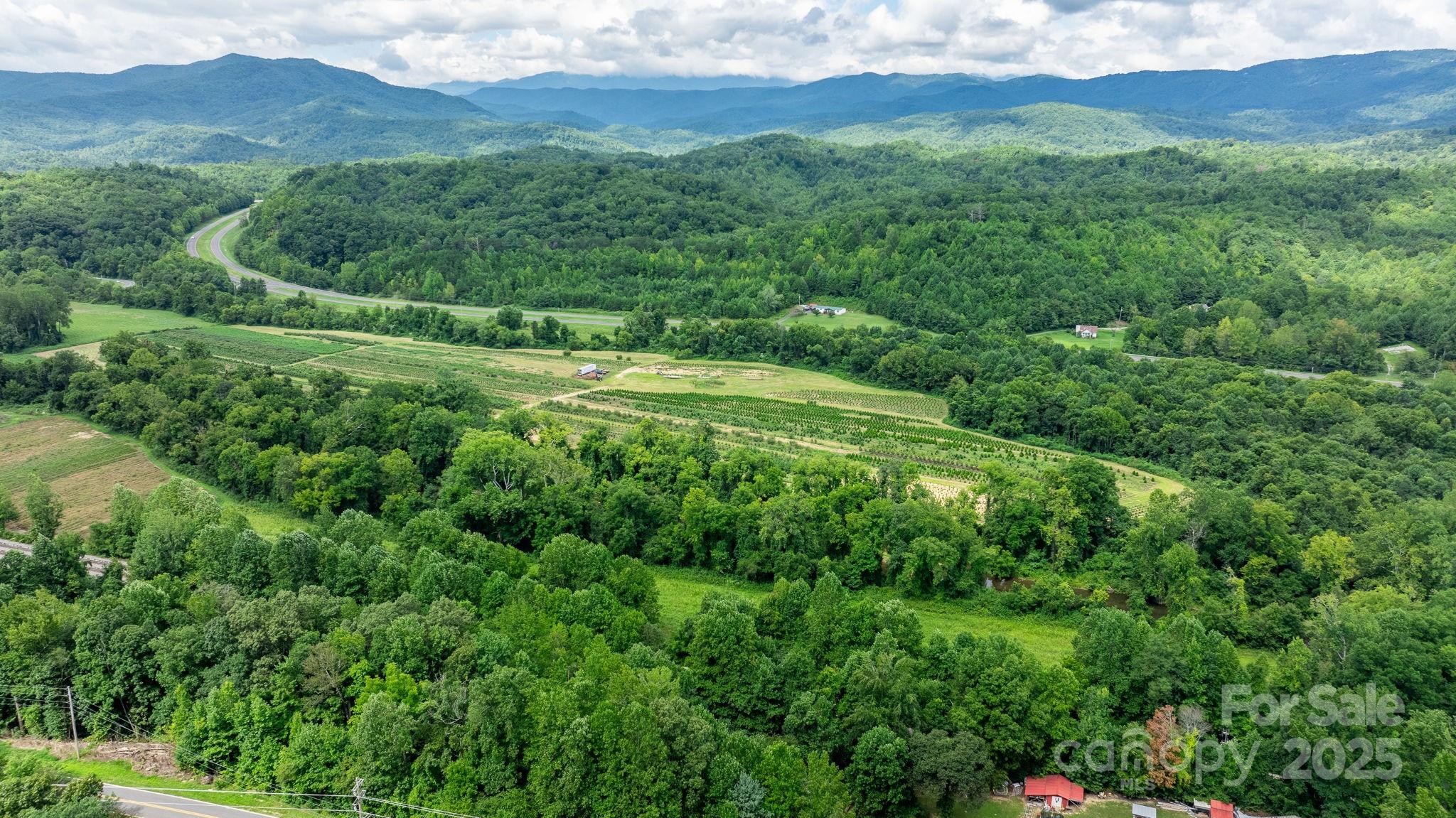 0 Old Linville Road Marion, NC 28752 - Photo 20 of 32 a view of a lush green hillside and a houses