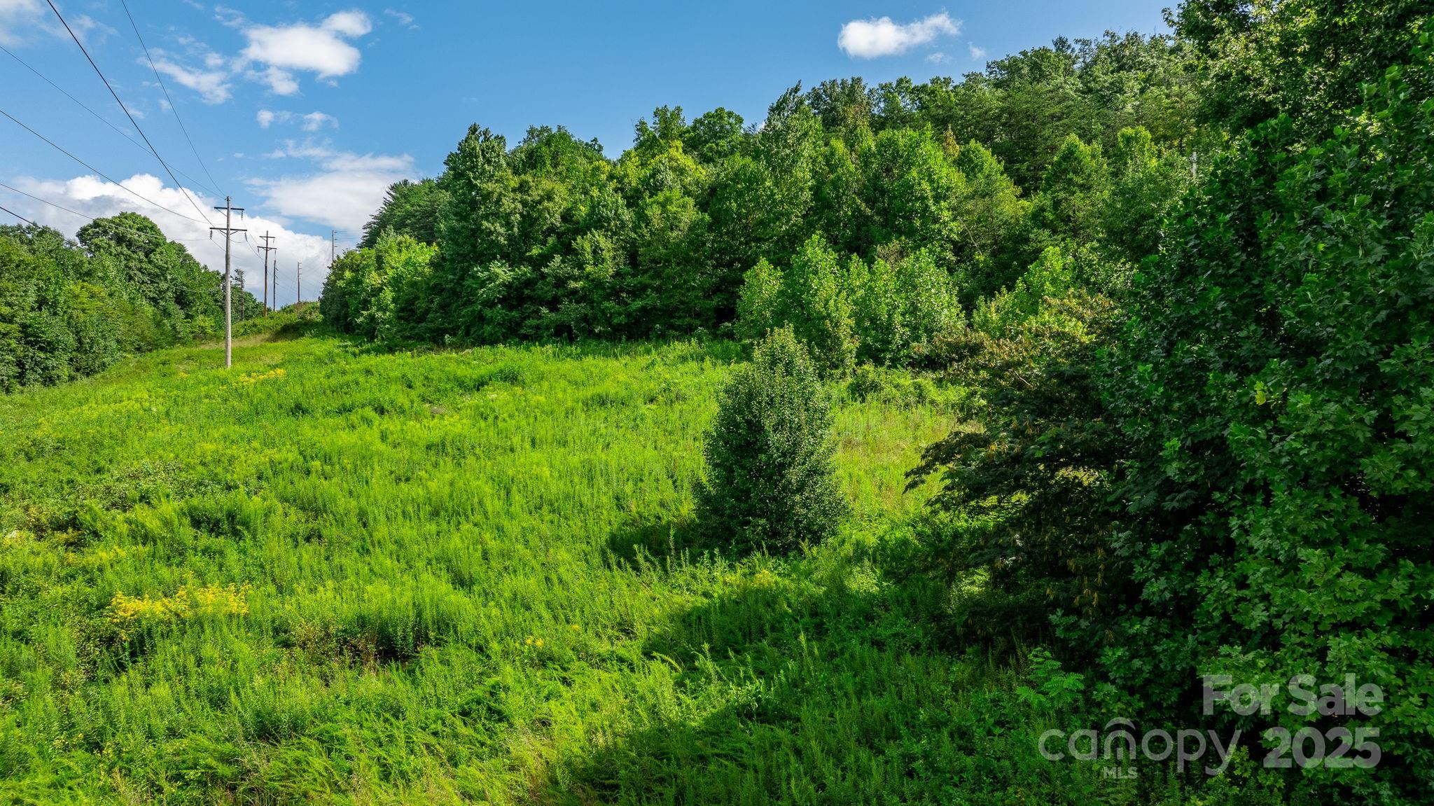 0 Old Linville Road Marion, NC 28752 - Photo 2 of 32 a view of a lush green space