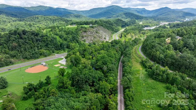 a view of a lush green forest with trees and some houses