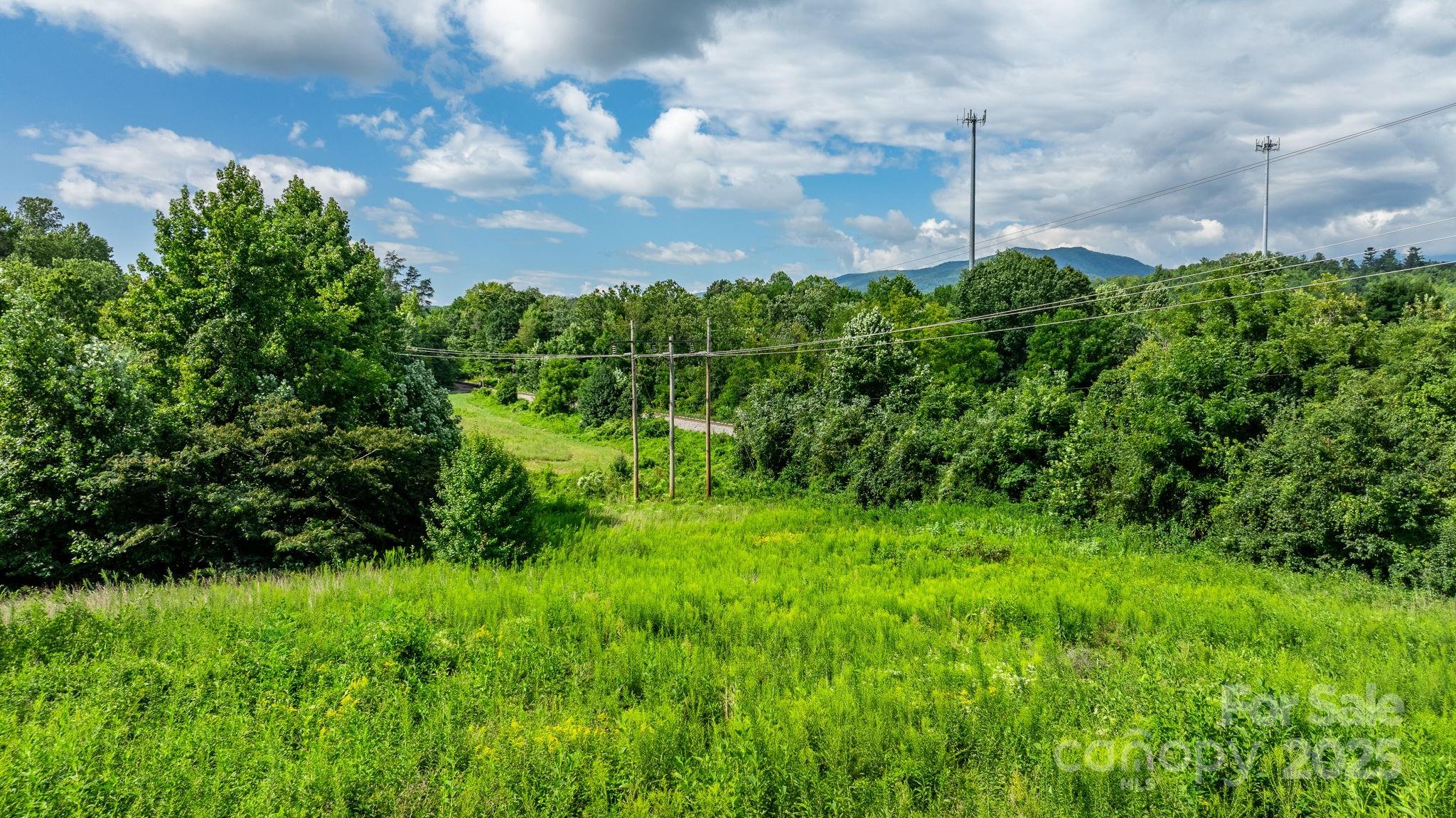 0 Old Linville Road Marion, NC 28752 - Photo 3 of 32 a view of a yard with plants