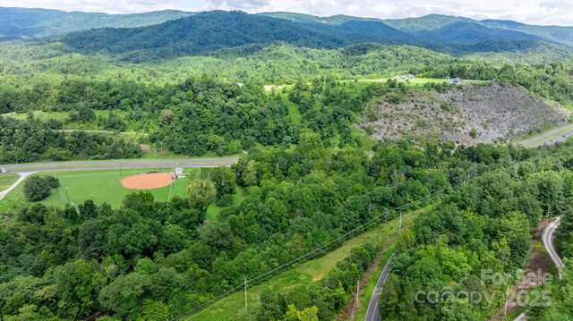 a view of a lush green hillside and a houses