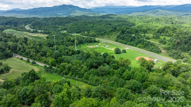 a view of a lush green forest with trees and some houses