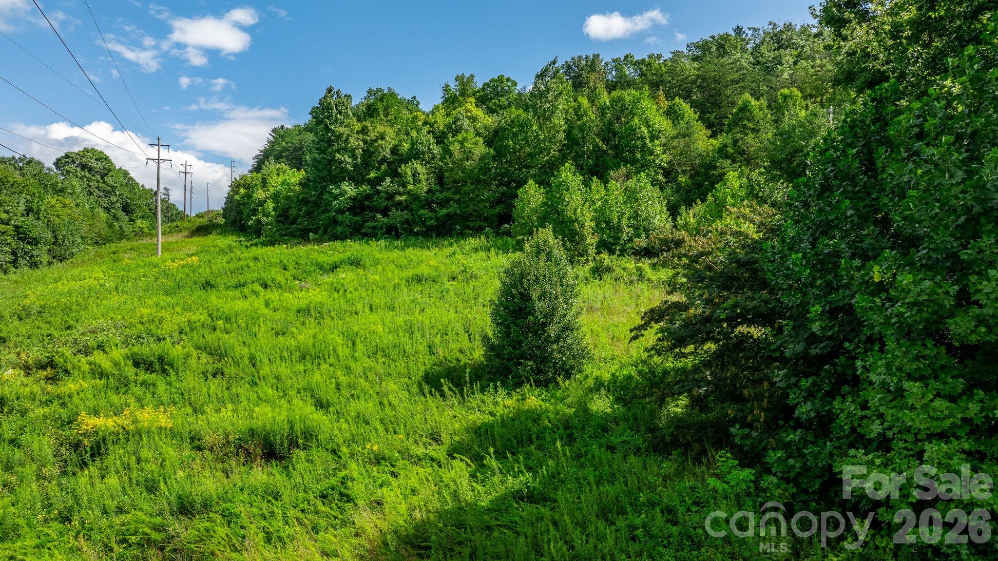 0 Old Linville Road Marion, NC 28752 - Photo 4 of 30 Gallery Image 4