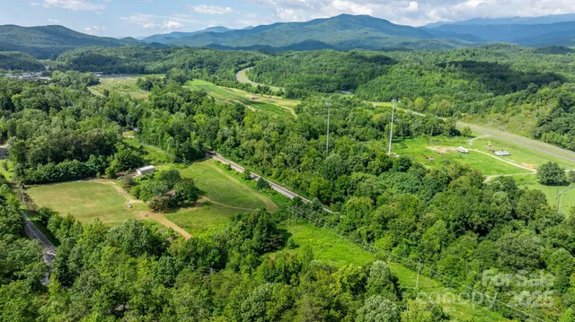 a view of a lush green forest with trees in the background