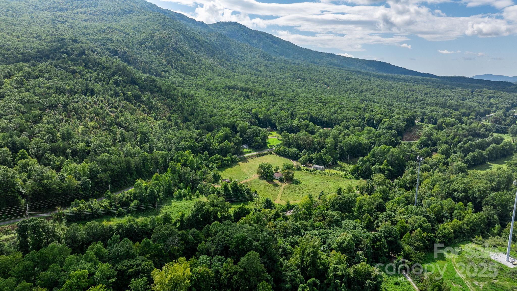 0 Old Linville Road Marion, NC 28752 - Photo 7 of 32 a view of a lush green forest with lots of trees