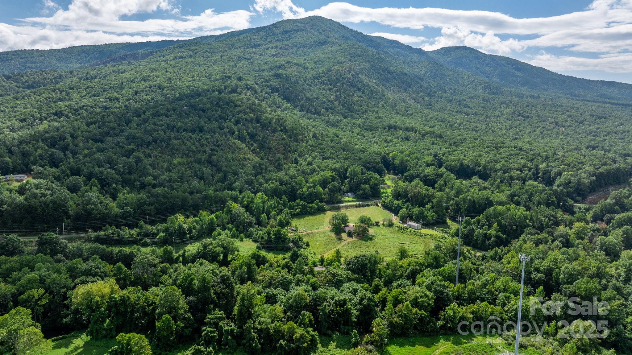 0 Old Linville Road Marion, NC 28752 - Photo 8 of 32 a view of a lush green forest with trees in the background