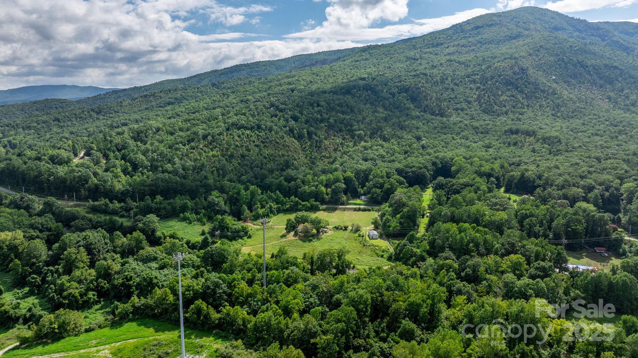 0 Old Linville Road Marion, NC 28752 - Photo 9 of 32 a view of a lush green forest with lots of trees