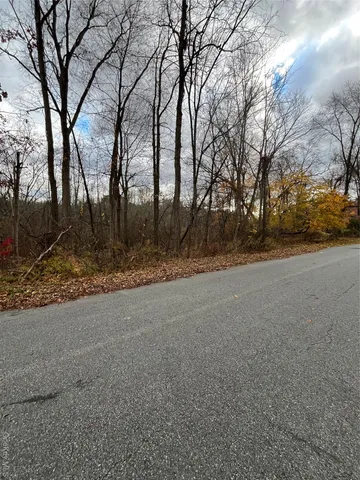 a view of large trees with tree in front of it