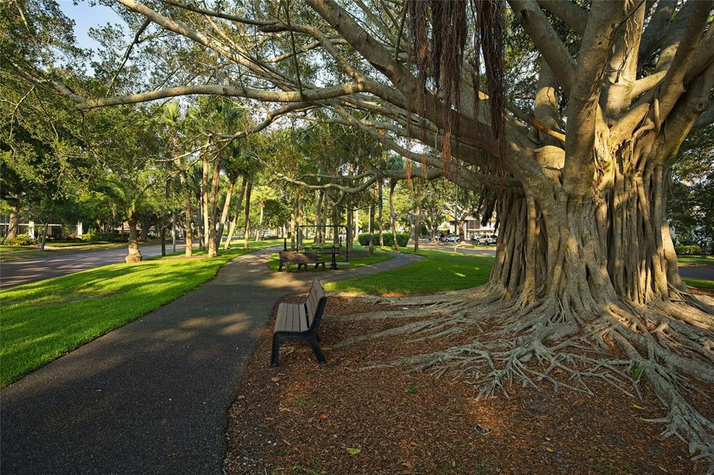 532 Center Road Venice, FL 34285 - Photo 67 of 68 a view of a park with large trees