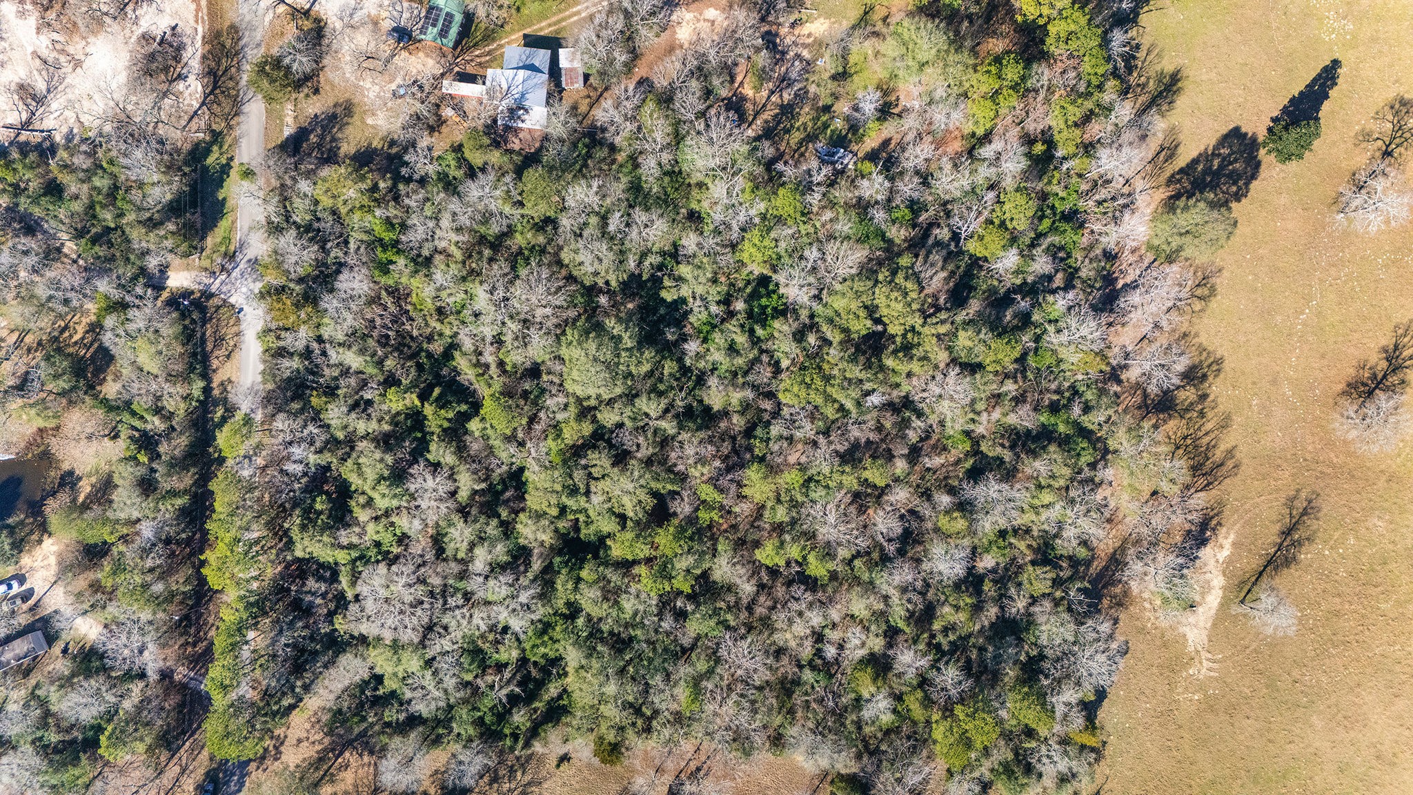 15685 McKay Road Willis, TX 77378 - Photo 10 of 21